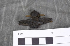 RAF Officer's Side Cap Cap Badge