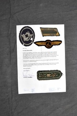 German Insignia